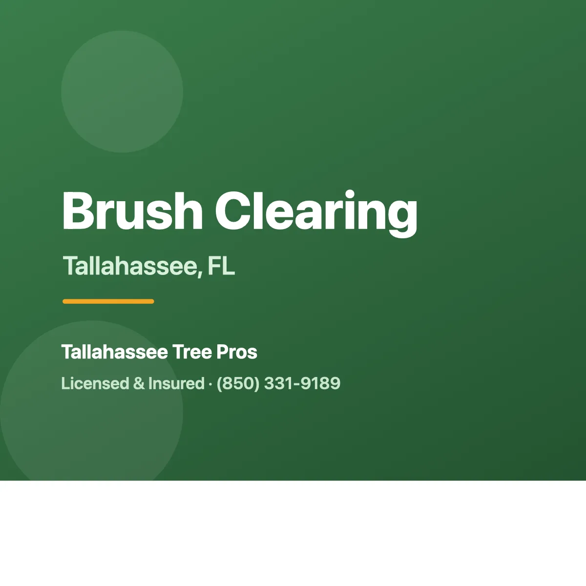 Cleared underbrush on a property in Tallahassee FL