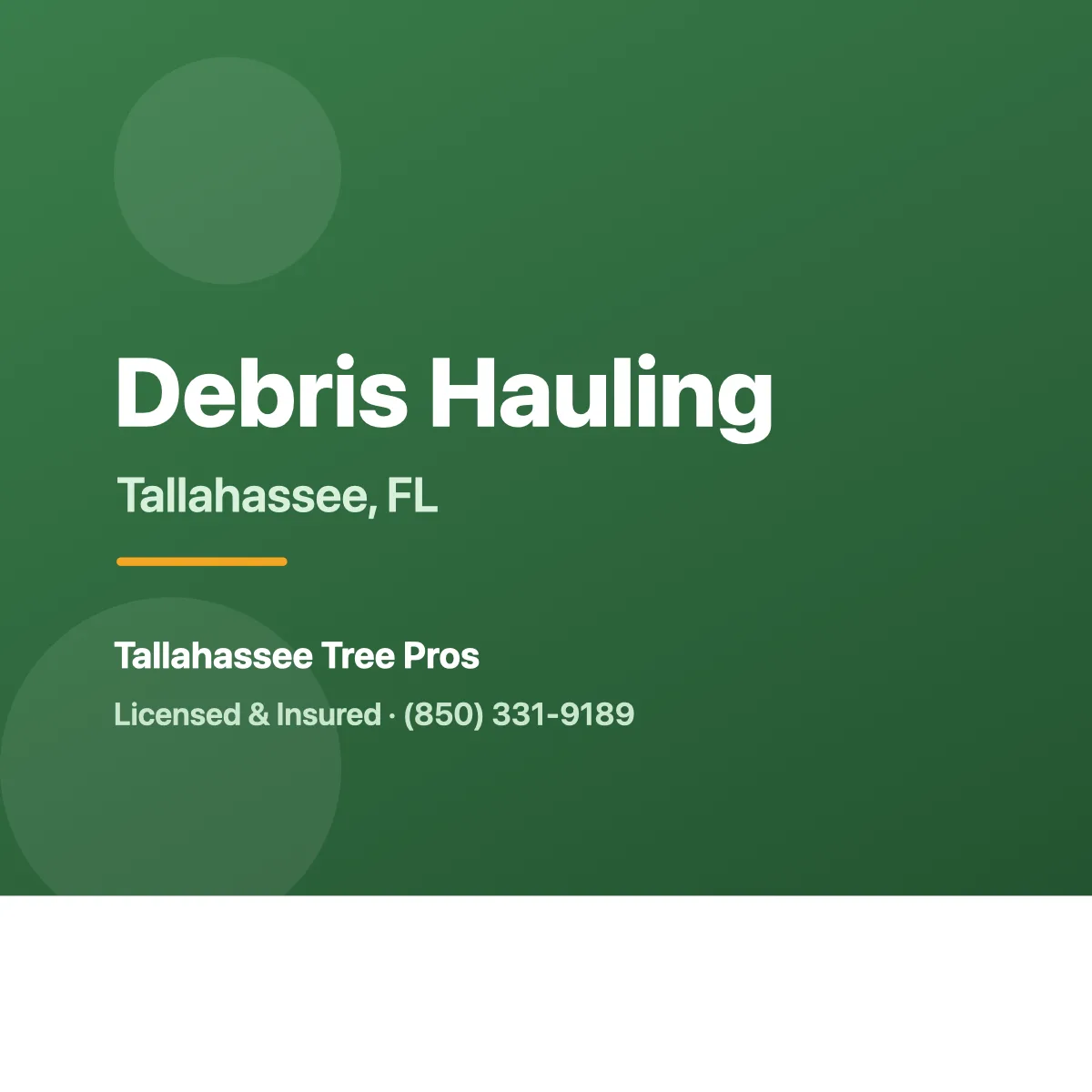 Crew hauling tree debris from a Tallahassee FL property